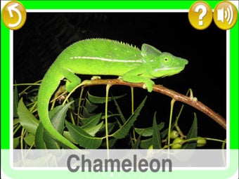 Image 5 for Learn for fun - Zoo [Lite…