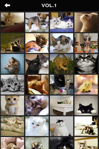 Image 0 for Cat Wallpaper Top HD