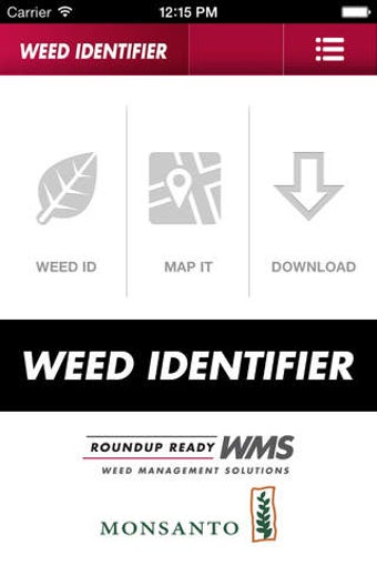 Image 0 for Weed ID