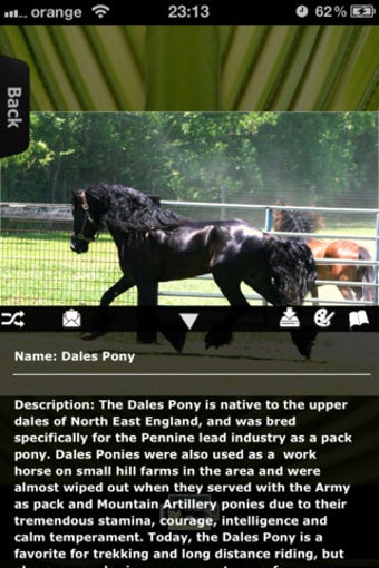 Image 2 for Horses for iPhone