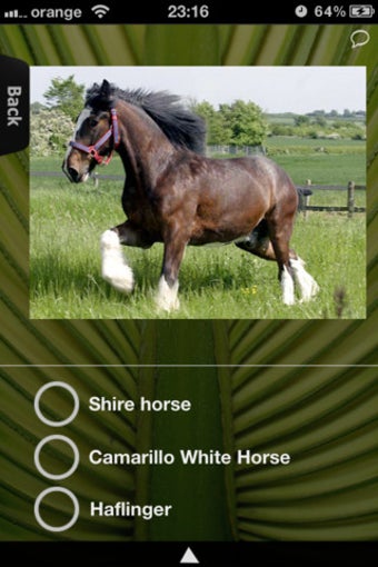 Image 1 for Horses for iPhone