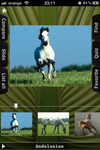 Image 0 for Horses for iPhone