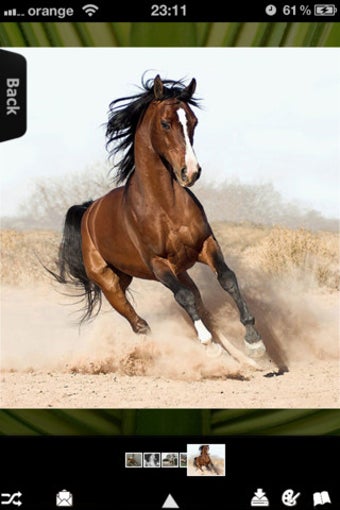 Image 3 for Horses for iPhone