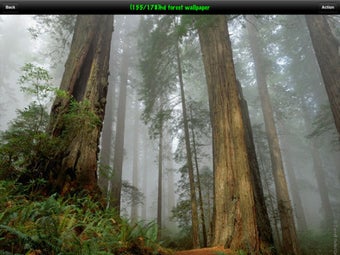 Image 1 for Photo Gallery Lite HD