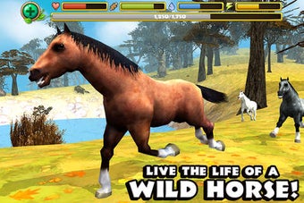 Image 0 for Wild Horse Simulator