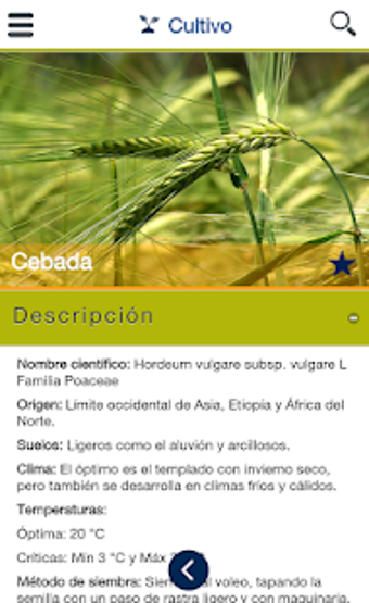 Image 3 for Syngenta Soluciones