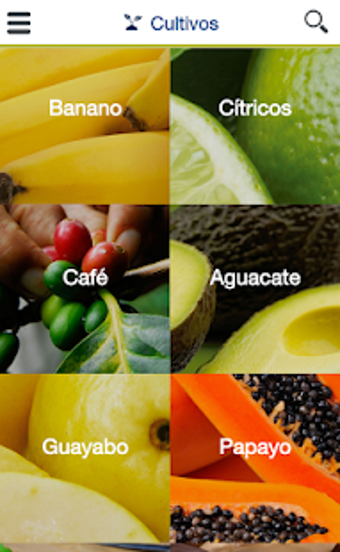 Image 2 for Syngenta Soluciones