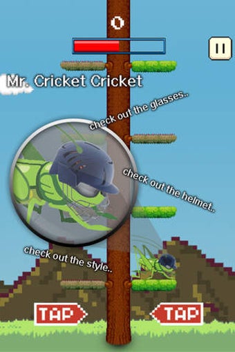 Imagen 0 para Cricket Jump