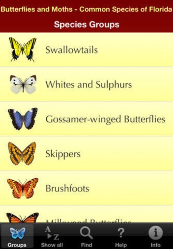 Image 0 for Butterflies and Moths - G…