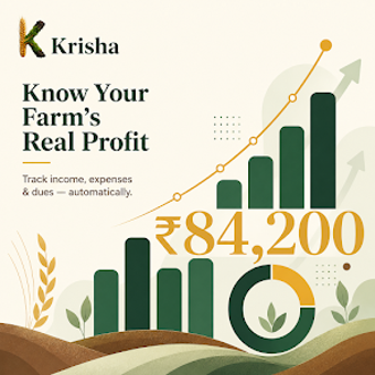 Imagen 0 para Krisha ERP