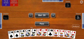 Image 1 for Pinochle Classic