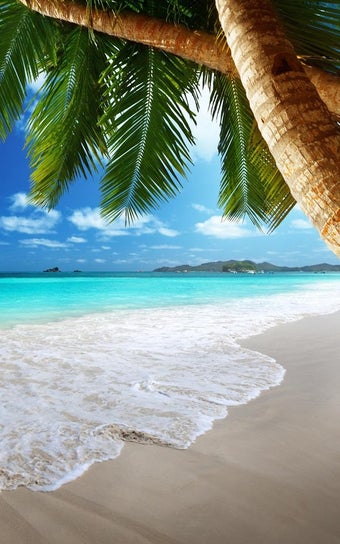 Image 0 for Tropical Beach Live Wallp…