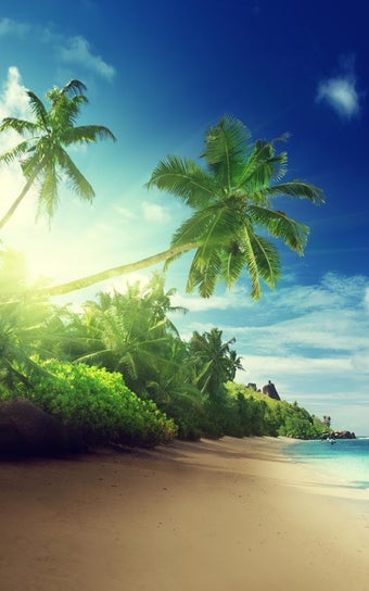 Image 1 for Tropical Beach Live Wallp…