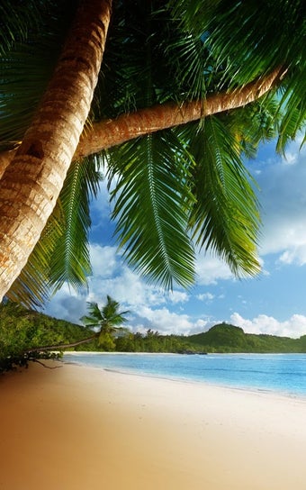 Image 3 for Tropical Beach Live Wallp…