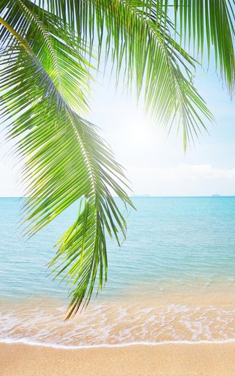 Tropical Beach Live Wallpaper for Android - Free download and software ...