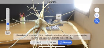 Image 1 for Brainapse
