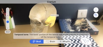 Image 2 for Brainapse
