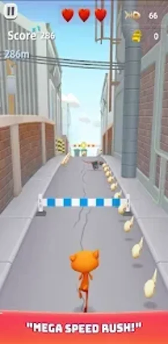 Image 0 for SuperCatRunning