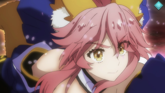 Imagen 0 para FateEXTELLA