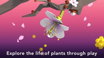 Image 2 for NAMOO - Wonders of Plant …