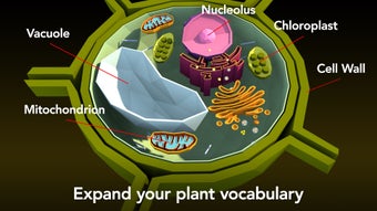 Image 2 for NAMOO - Wonders of Plant …