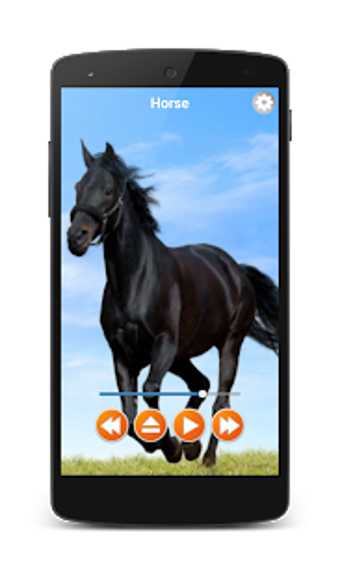 Imagen 0 para Animal Sounds Free Offlin…