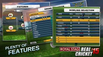 Image 2 for Real Cricket 15 for Windo…