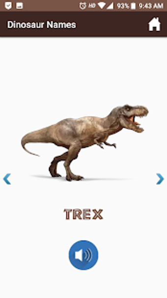 Image 3 for Dinosaur Names