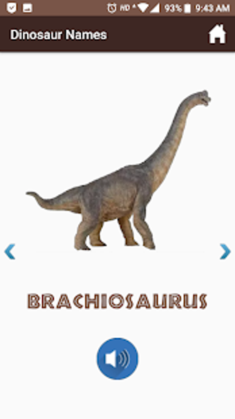Image 0 for Dinosaur Names