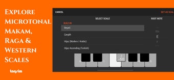 Image 2 for TAQS.IM Oriental Synthesi…