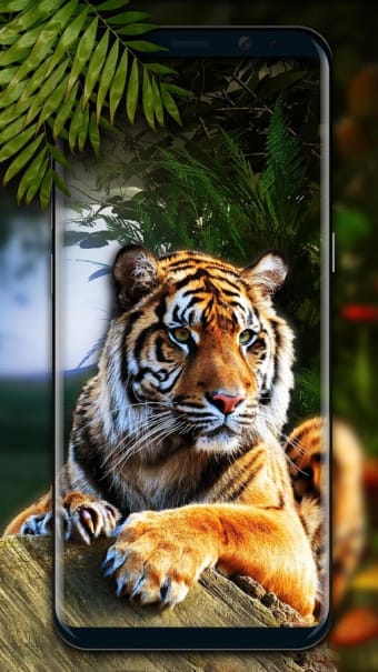Image 2 for 3D Tiger Live Wallpaper 2…