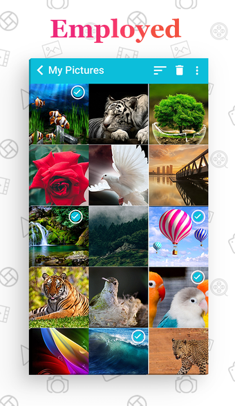 Imagen 1 para Gallery