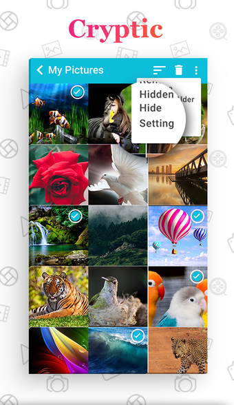 Imagen 0 para Gallery