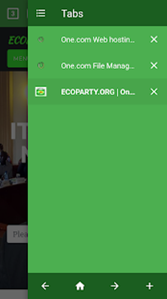 Imagen 1 para Flash Browser