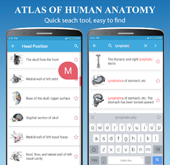 Imagen 2 para Human Anatomy Atlas - Ana…