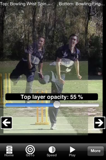 Image 2 for Cricket Coach Plus