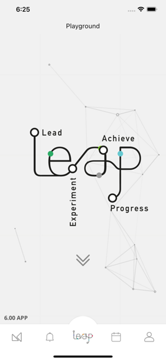 Image 0 for LeapCo