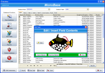 Image 0 for SSuite Office MonoBase