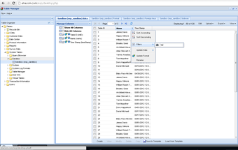 Imagen 3 para Enhanced SQL Portal