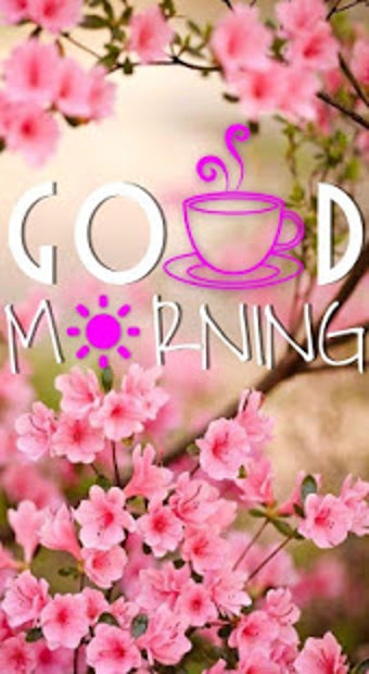 Image 0 for Happy Friday Gif