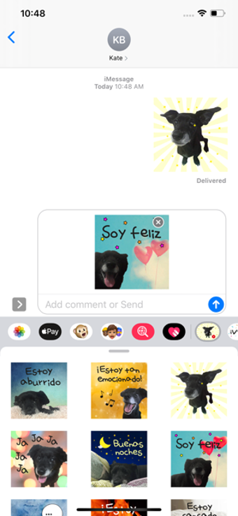 Image 1 for My Black Dog