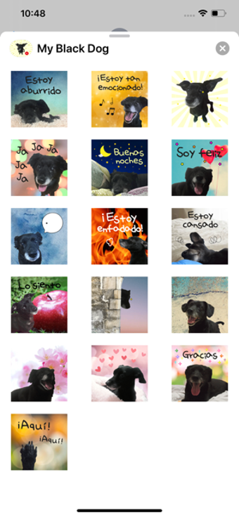 Image 2 for My Black Dog