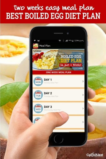 Image 2 for Best Boiled Egg Diet Plan