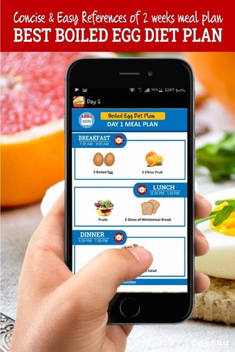 Image 0 for Best Boiled Egg Diet Plan