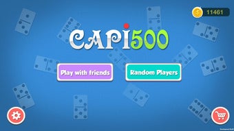 Image 1 for Capi500