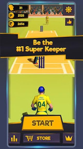 Image 1 for Super Keeper Cricket Chal…