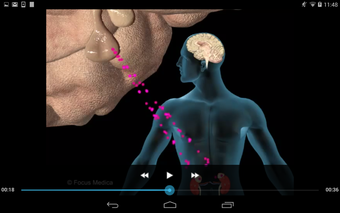 Imagen 2 para Neurology & Psychiatry - …