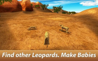 Imagen 1 para Leopard Family Simulator