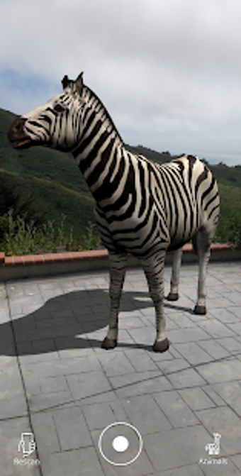 Imagen 0 para Animal Safari AR