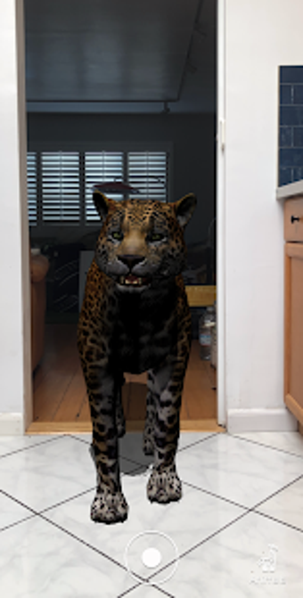 Imagen 1 para Animal Safari AR